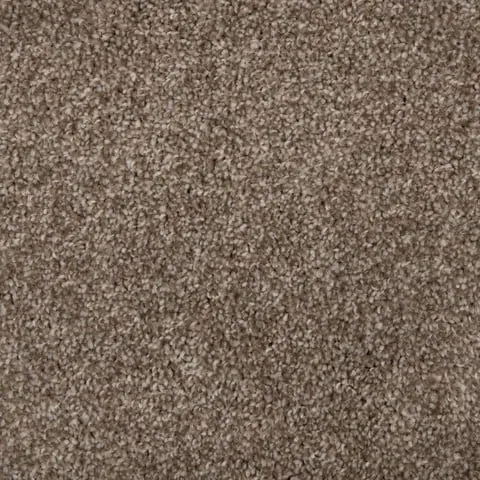 Alpine flooring in Shell