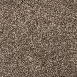 Alpine flooring in Shell