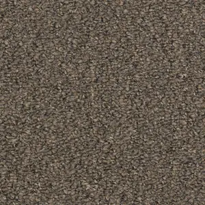 Performer II flooring in Birch Grey