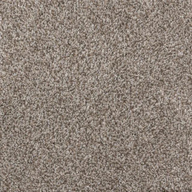 Rendition flooring in Cascade