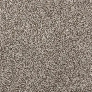 Rendition flooring in Cascade