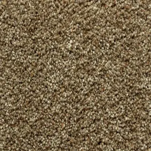 Sun Valley flooring in Charm