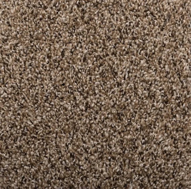 Momentum flooring in Island Spice