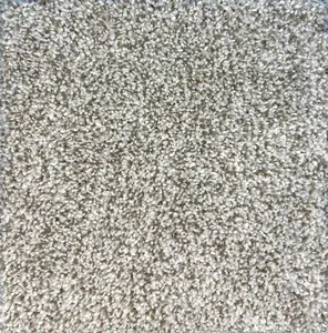 Homage flooring color Sand Dollar