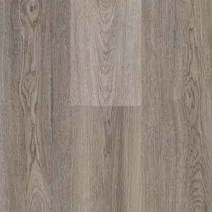Elegance flooring color Silver Oak EP-561