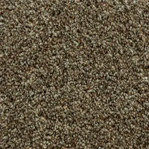 Sun Valley flooring color Snare