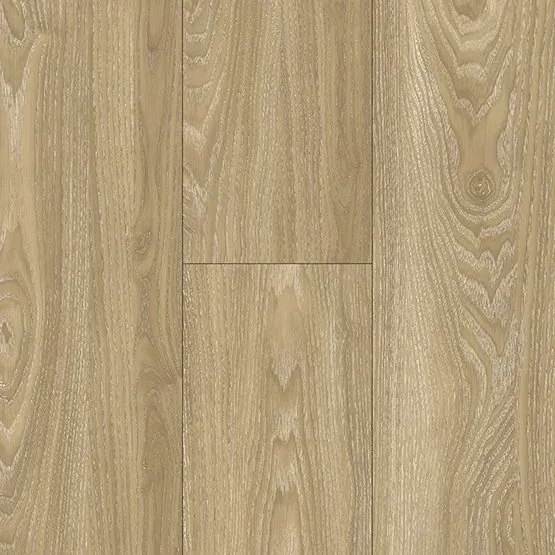 Vanguard flooring in Roma