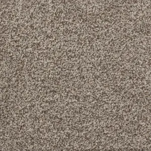 Rendition flooring color Vista