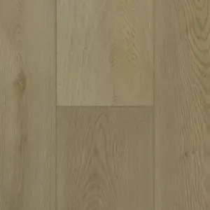 Citadel Plus flooring in Sand