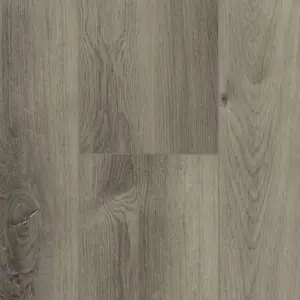 Citadel Plus flooring color Ash Gray